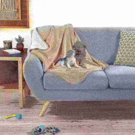 Pet Adobe 40x30 Waterproof Pet Throw Blanket, Tan 311760HYF